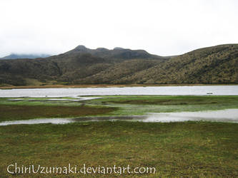 Limpiopungo Lake
