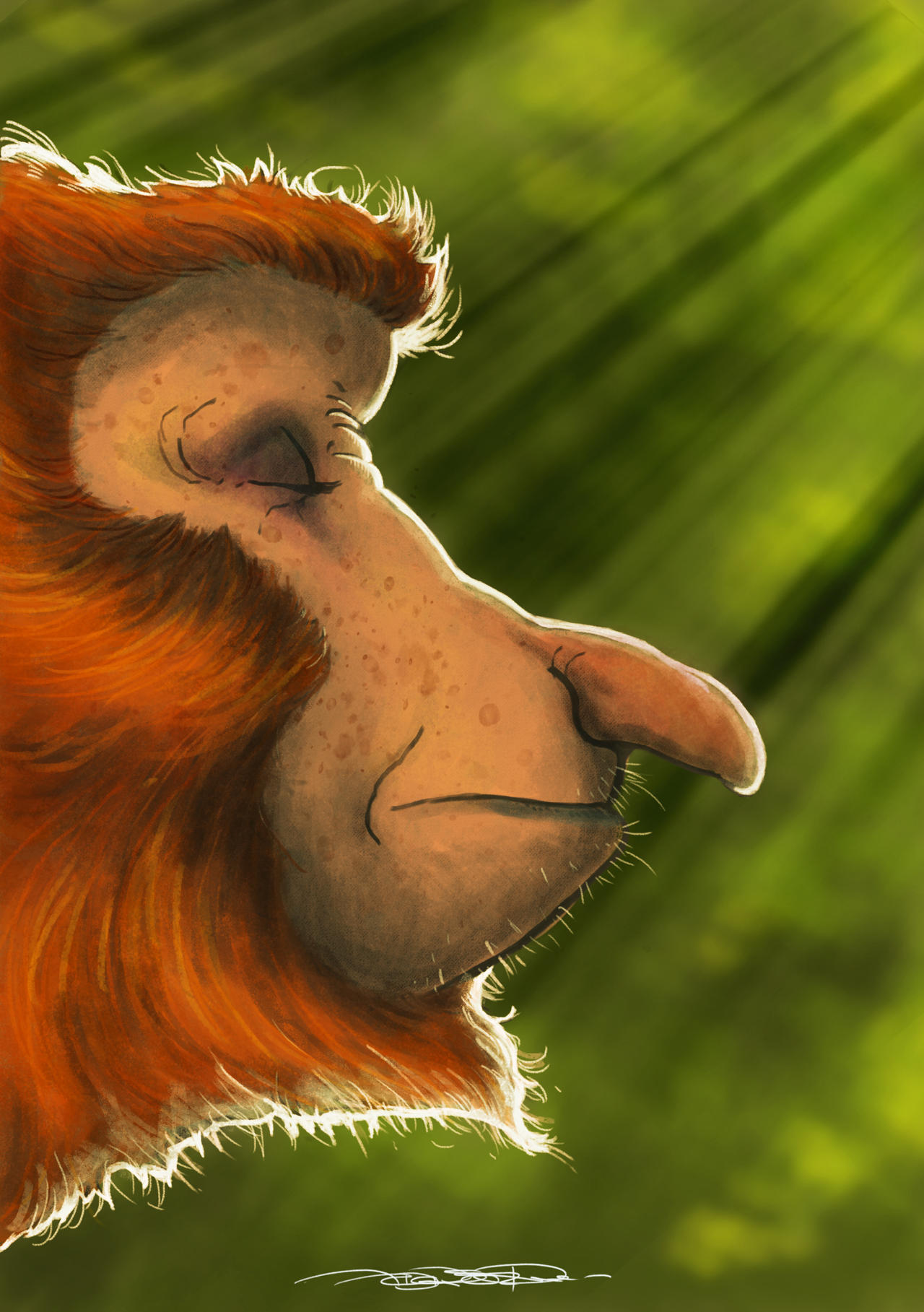 File:Macaco-narigudo.jpg - Wikimedia Commons