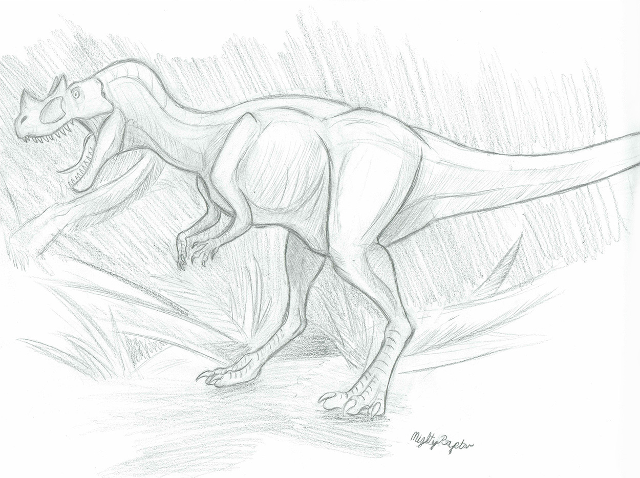 Ceratosaurus Sketch