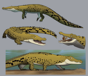 Croctober, Nile Crocodiles