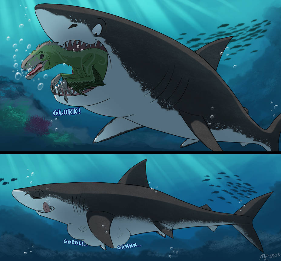 Female shark x male. Фурри МЕГАЛОДОН. Акула Rule. Тигровая акула арт.