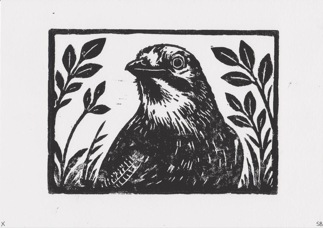 'Jay' - Hand-Pulled Linocut Print