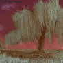3165e2b5-39a0-4a81-b6e8-5261596ed1cf