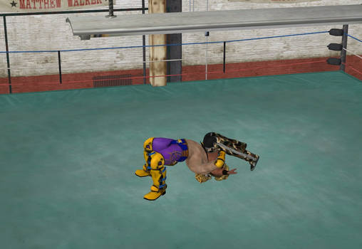 King vs Shawn Michaels