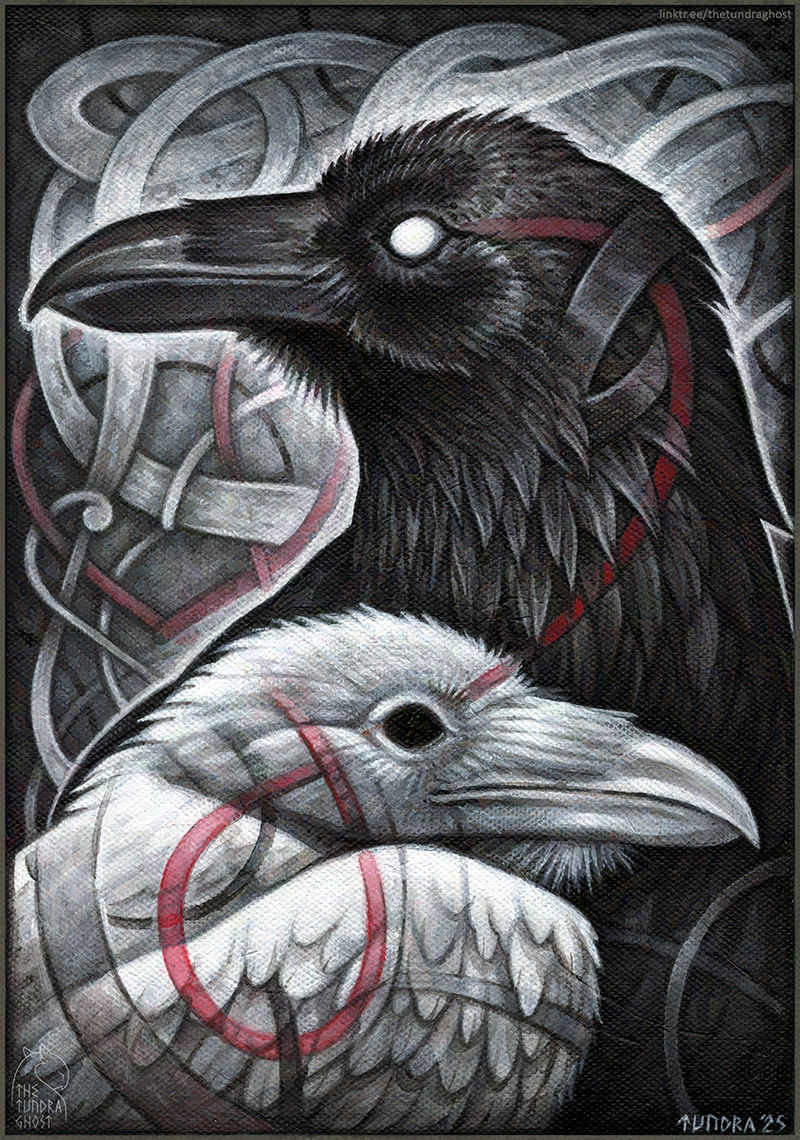Kvitravn by TheTundraGhost on DeviantArt