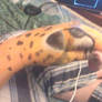 Leopard Hand art