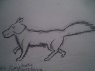 random dog drawing