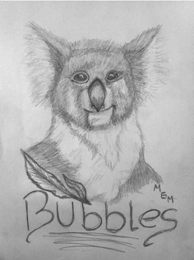 Bubbles The Koala