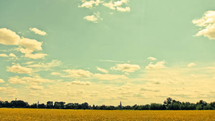 _field by waltrk