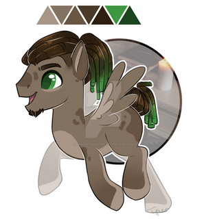 Cool pony adopt CLOSED