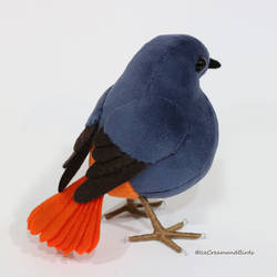 Plumbeous Water Redstart ,plush (finished)