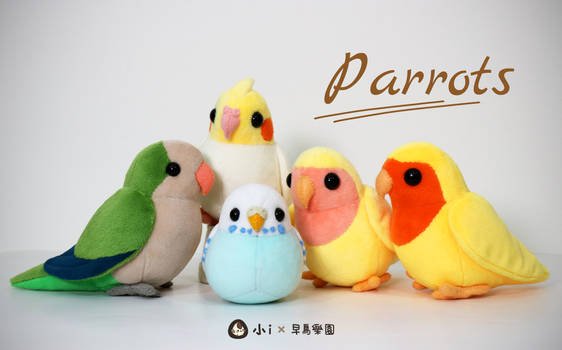 Parrots plush