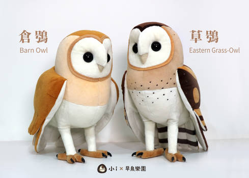 Barn Owl and Grass Owl plush