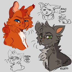 Ashfur AU