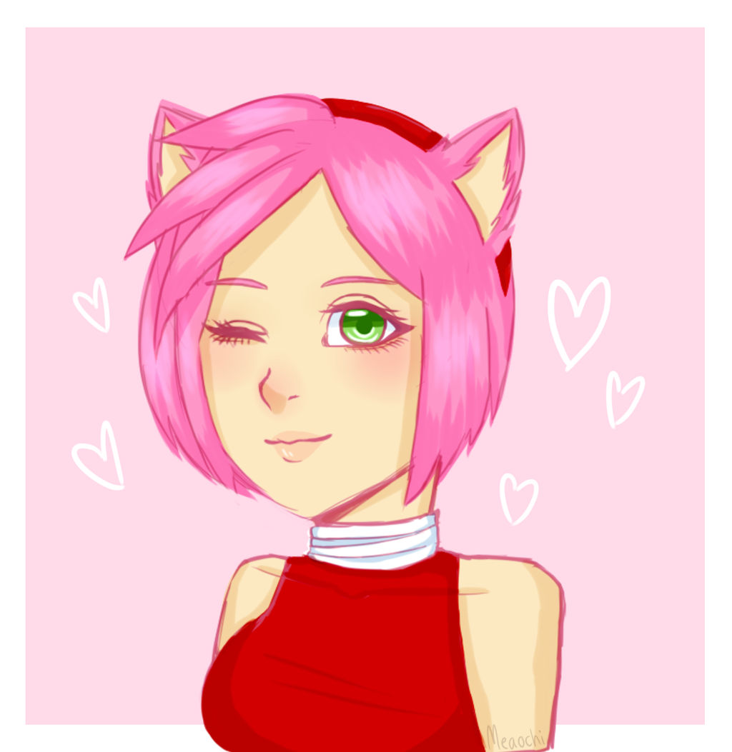 Amy Rose by ivrinne