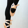 Pointe Shoes