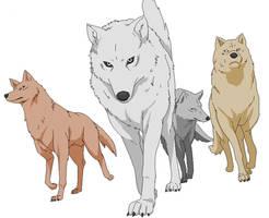 Wolf's Rain Pack