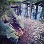 Tree Stump in the Marsh