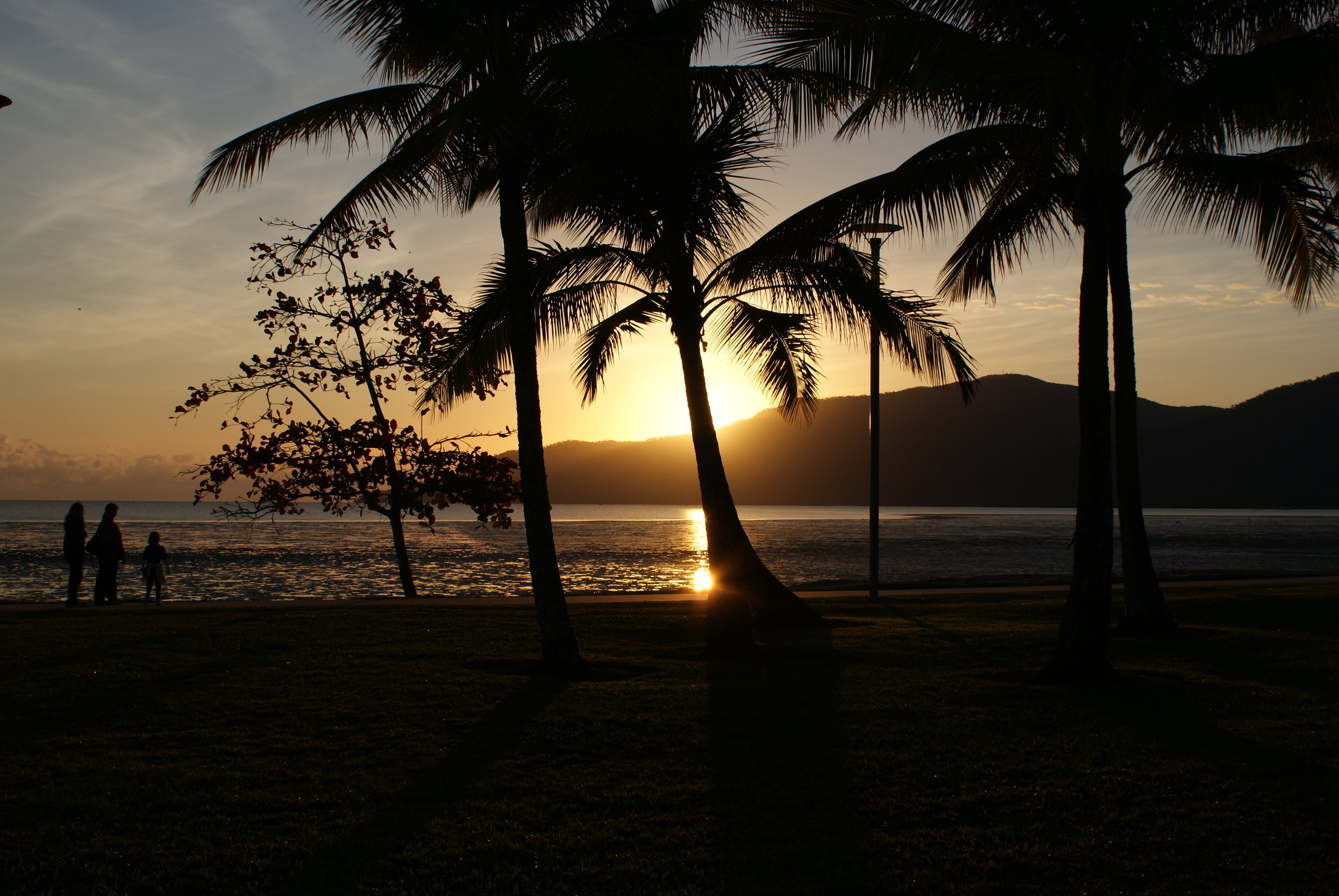 Scenic View in Cairns