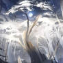 I. Ghost Cedar