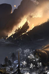 II. Wildfire