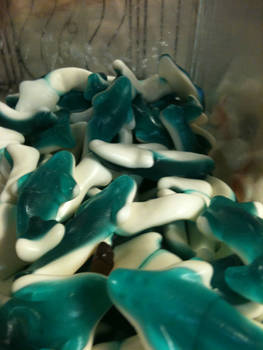 Blueberry Gummy Dolphin