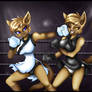Yin and Yang - First Strike
