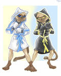 Yin and Yang - Boxing Cloak Cats by Gexon