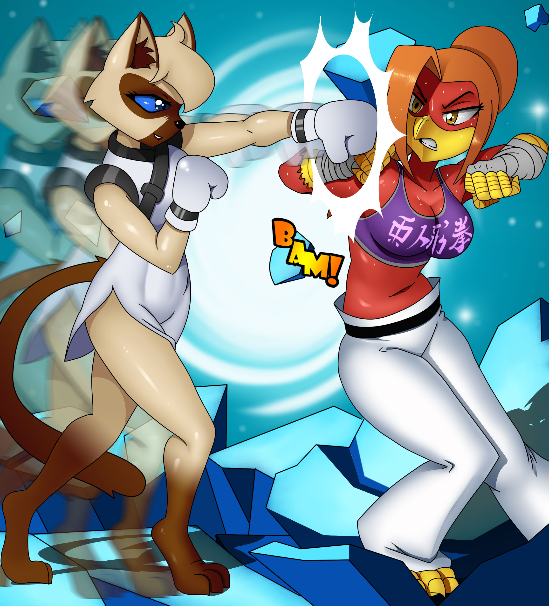 Yin vs Aki - Hyper Combo
