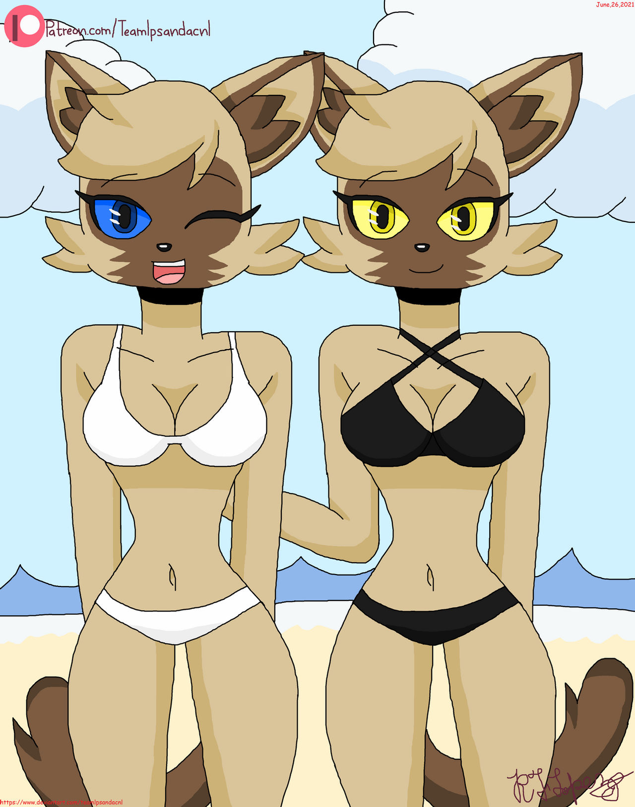 Yin and Yang - Bikini hotties