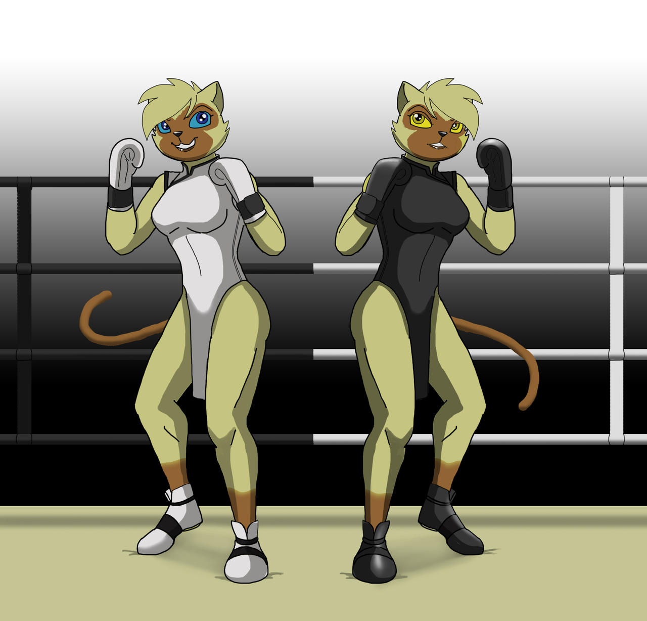Yin And Yang - Kickboxing attire