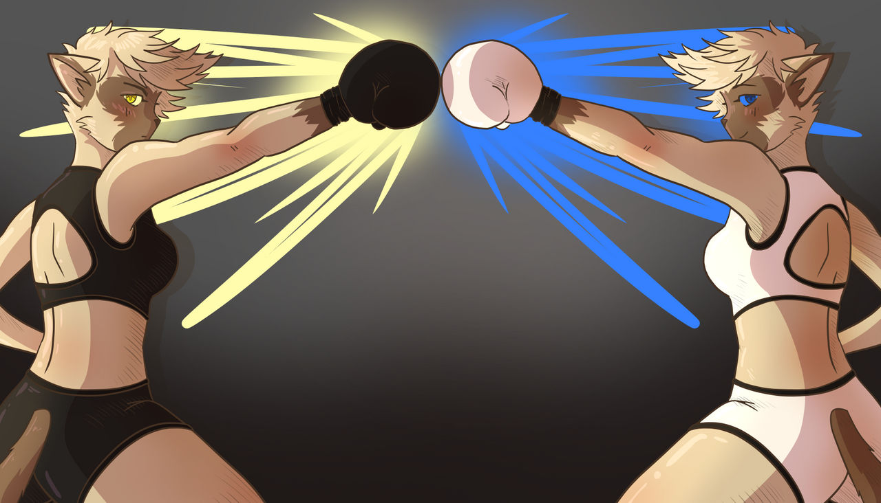 Yang and Yin - Sister Boxing Forever