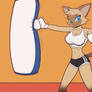 Yin - Heavy bag workout