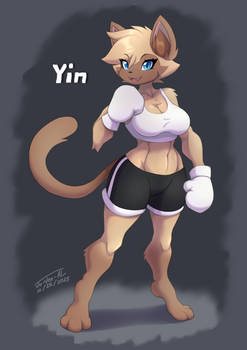 Yin - Ready to take on me?