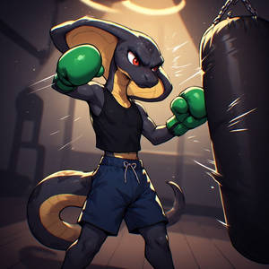 Franklin try out boxing