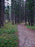 Tunnel Mountain Banff AB 1 by DTherien