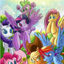 MLP group