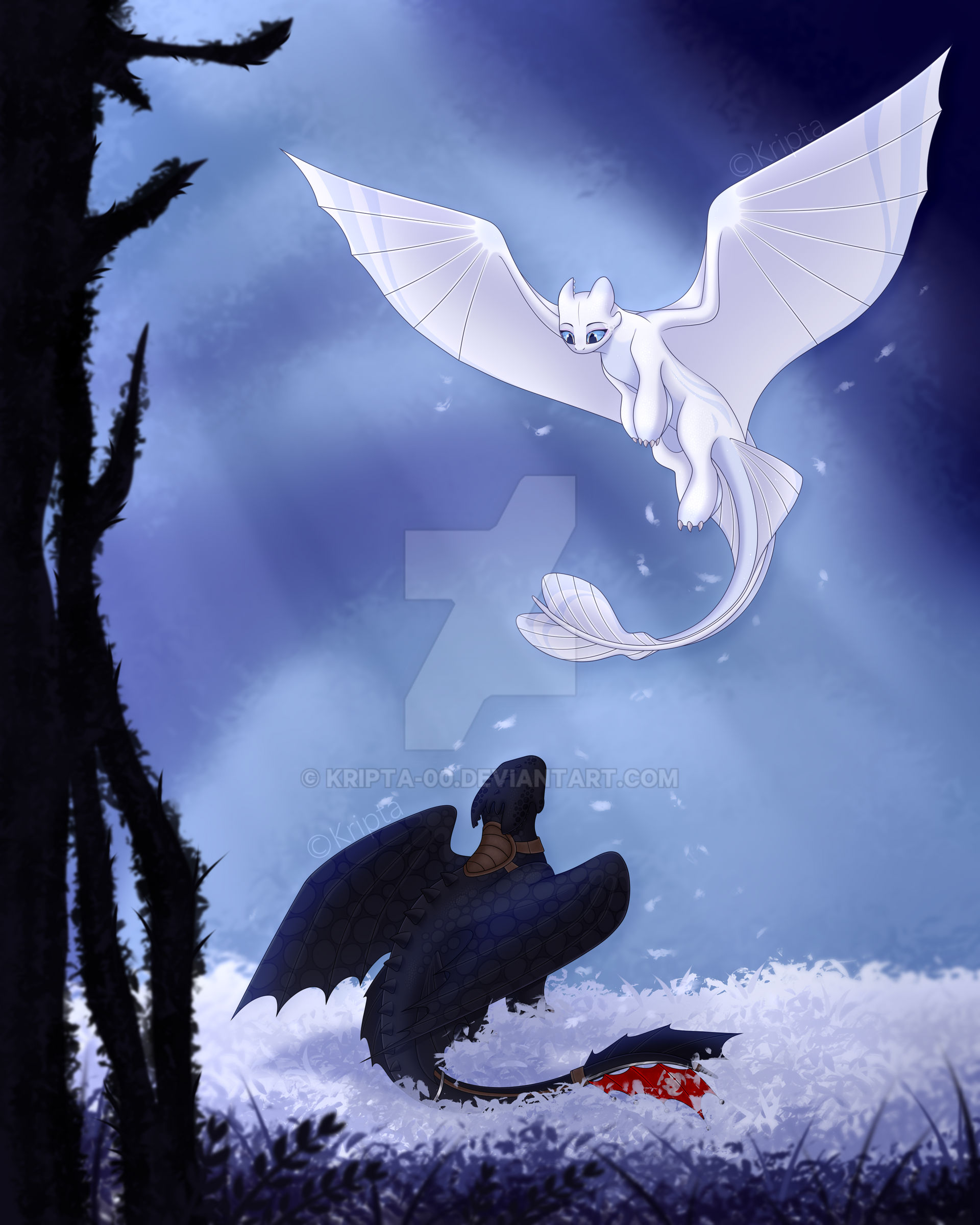 Toothless and Light fury by KriptA-00 on DeviantArt