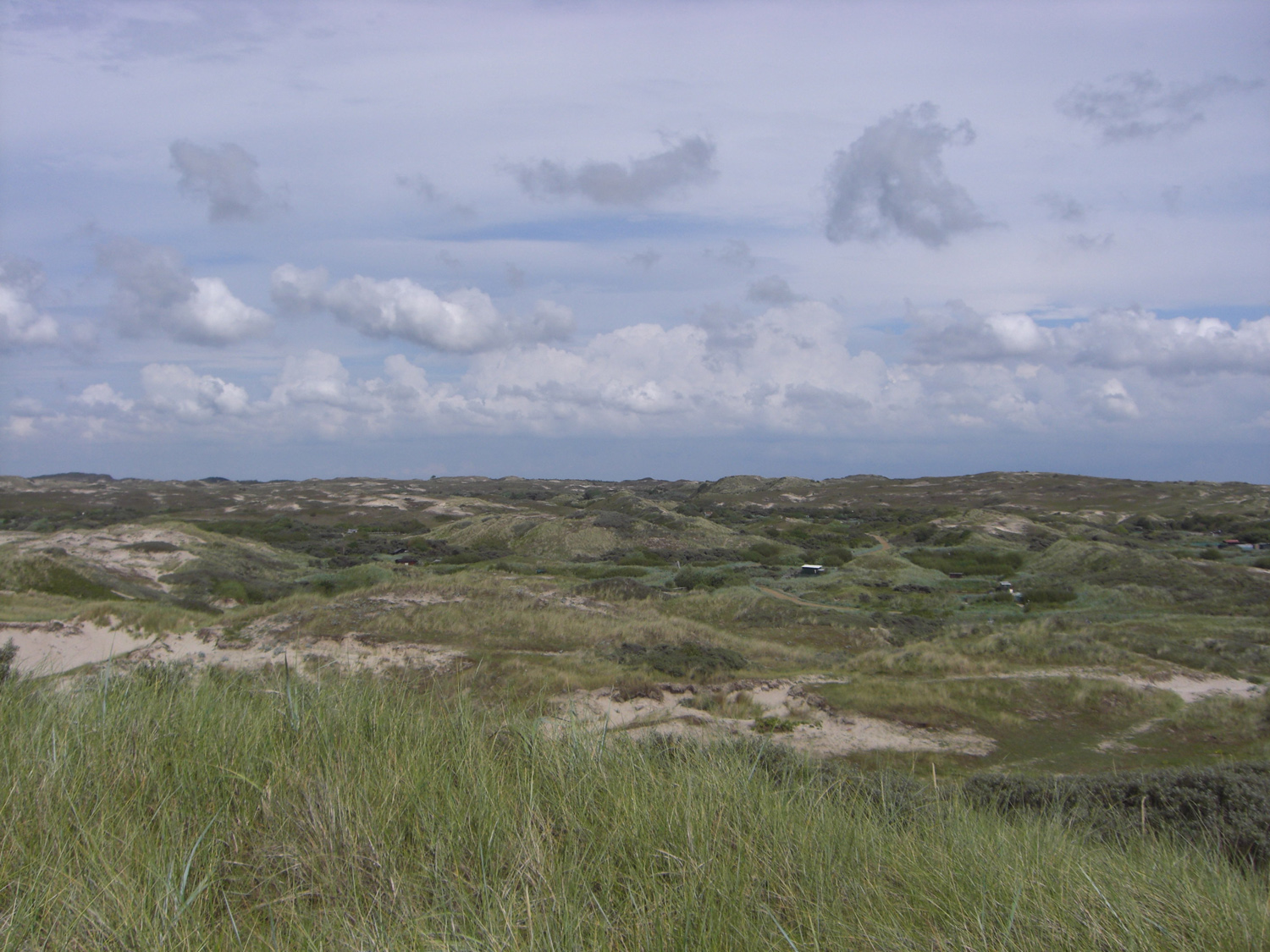 Dune Wasteland