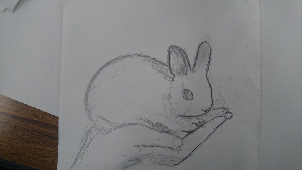 Hand Art Rabbit rabbit on hands by amegumo1925 on DeviantArt