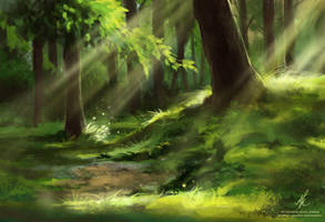 Sunny forest