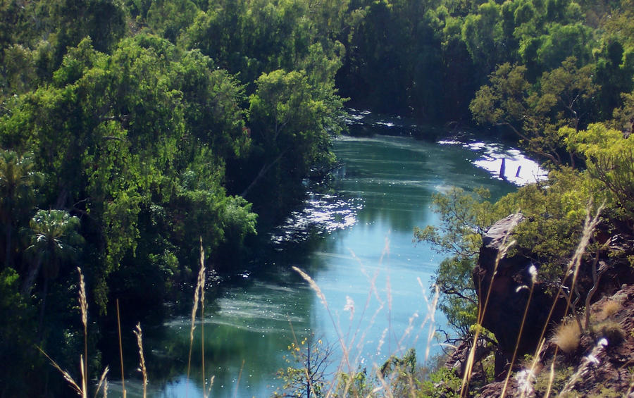 Forest River