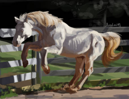 Perlino Horse Study 2hrs