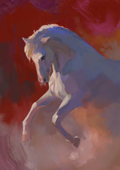 Painterly Pony