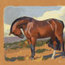 Horse Study