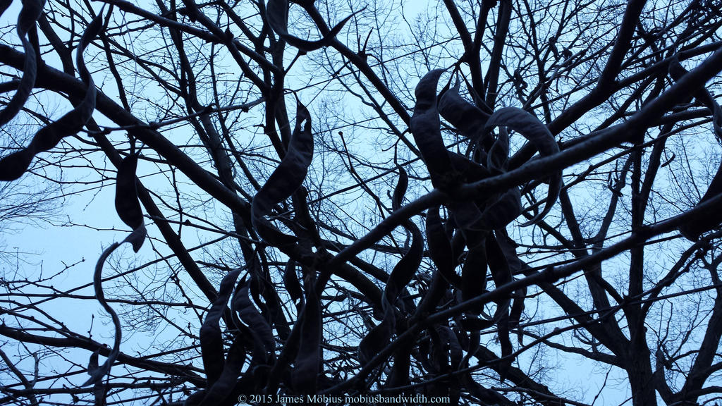 Monkey Rattle Tree Rattle Tree by J-Mobius on DeviantArt