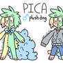 Pica Ref [OUTDATED]