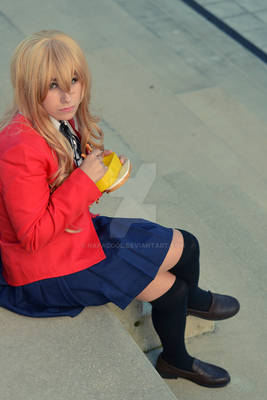 Aisaka Taiga Cosplay