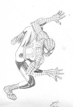 2nd Spidey