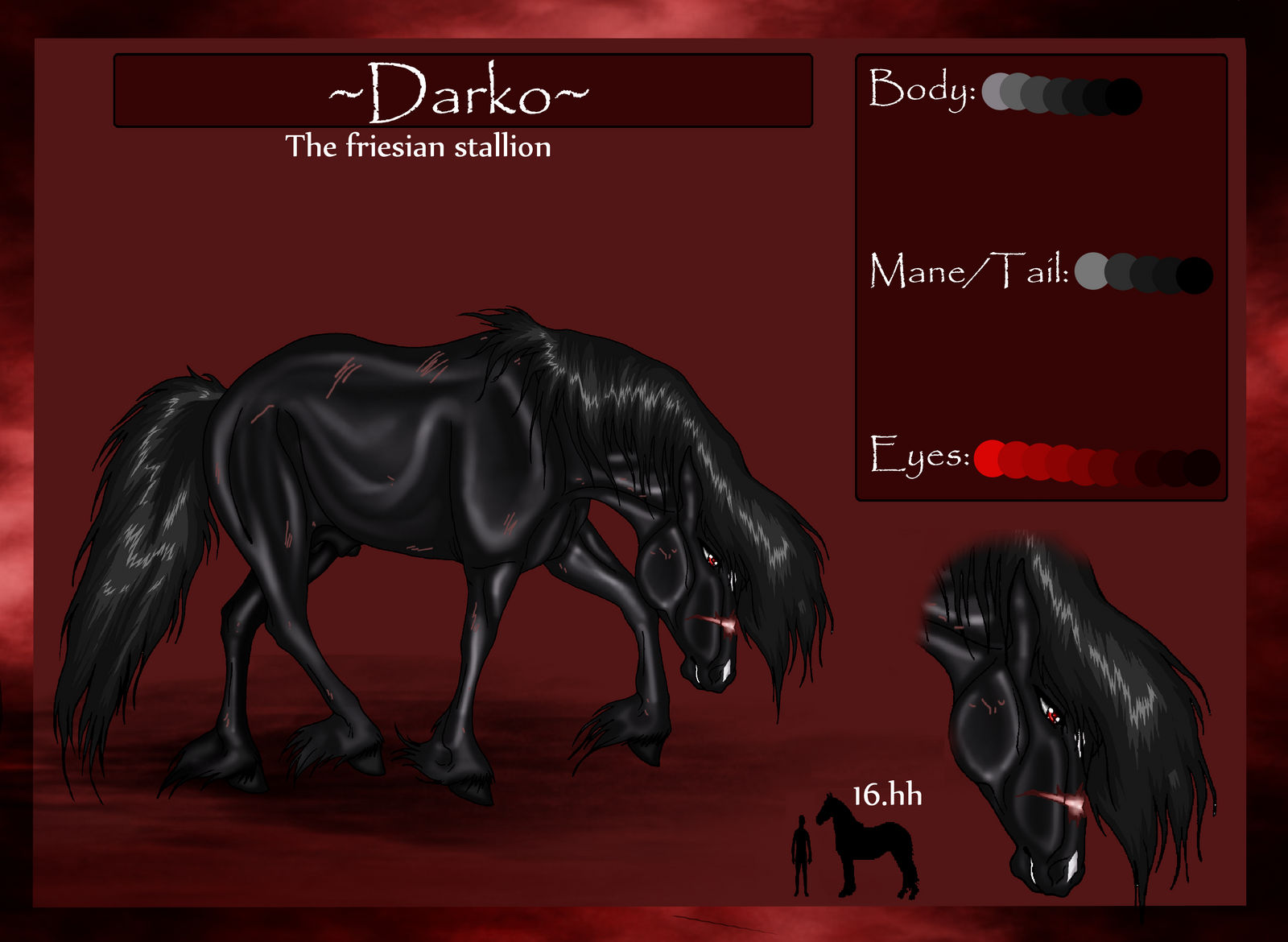 Darko Referance sheet 2012